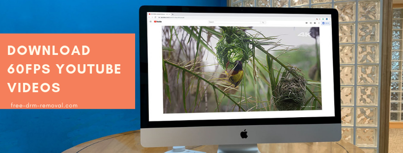 download 60fps YouTube video